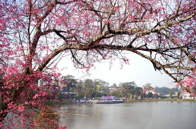 โรงแรมอานา ดาลัด ภายนอก รูปภาพ
